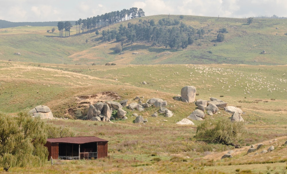 un champ herbeux avec des rochers et un bâtiment au loin