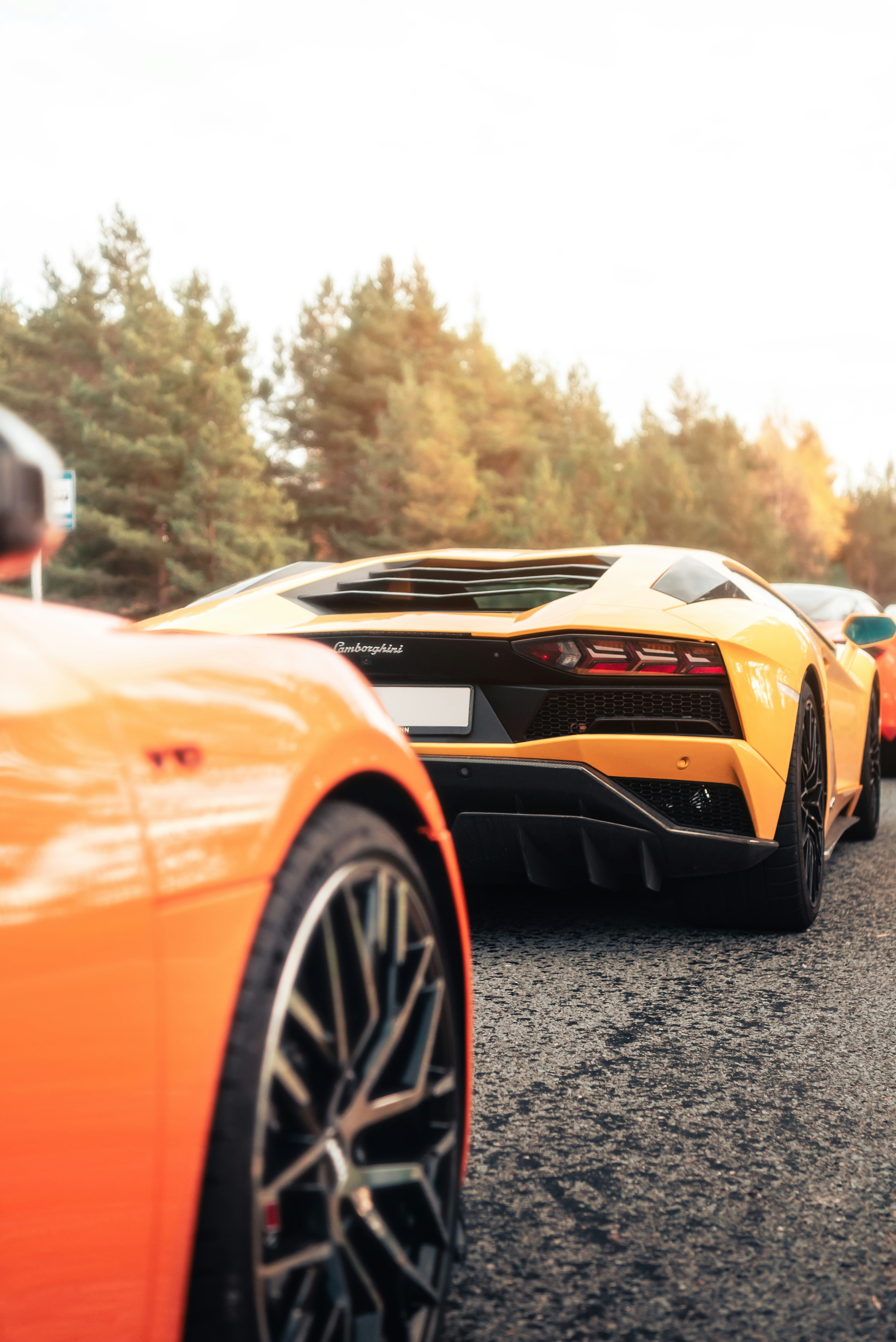 Photo by blacklist_tln