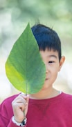 a person holding a leaf