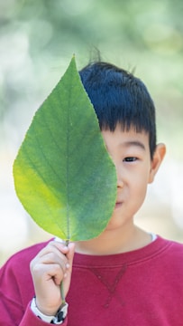 a person holding a leaf