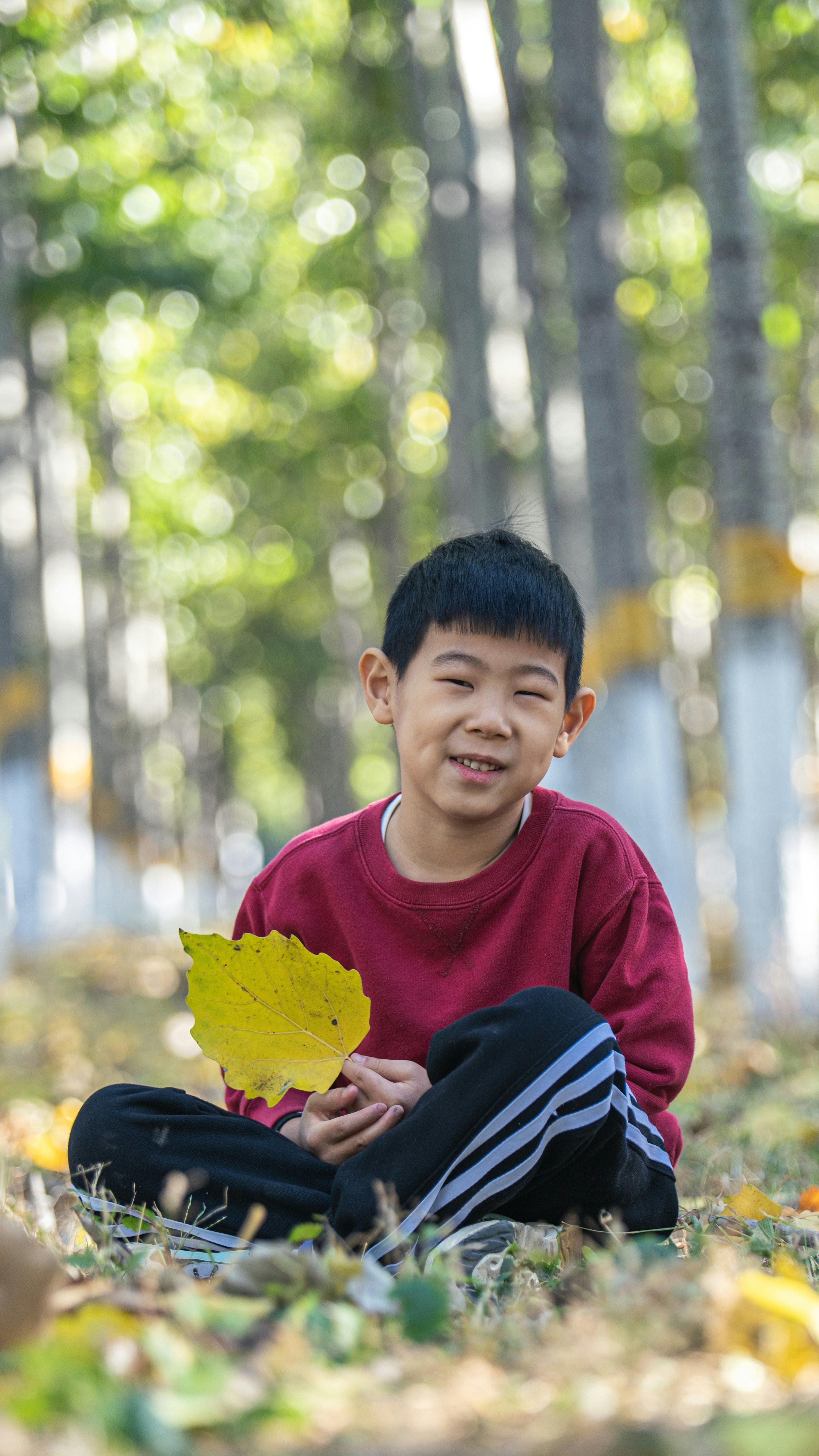 Smiling young boy with a teacher looking at colorful phonics cards