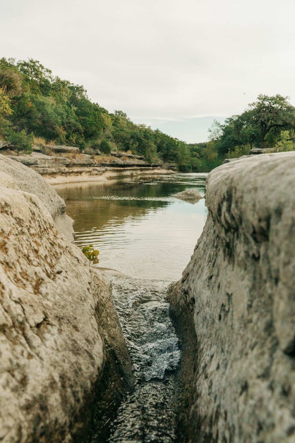 a river with rocks and trees