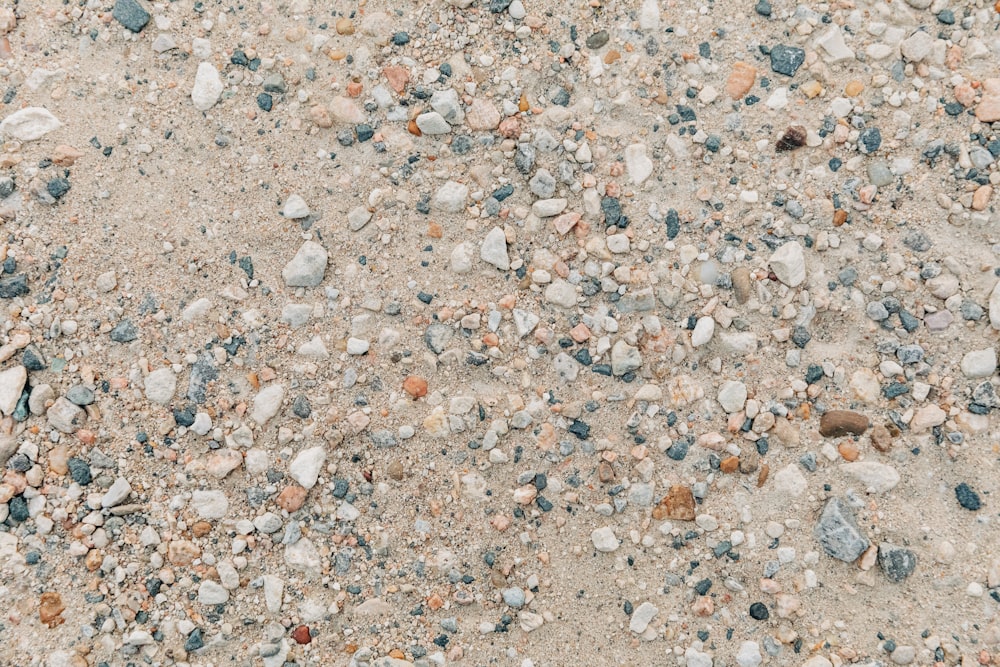 a close-up of a rocky area