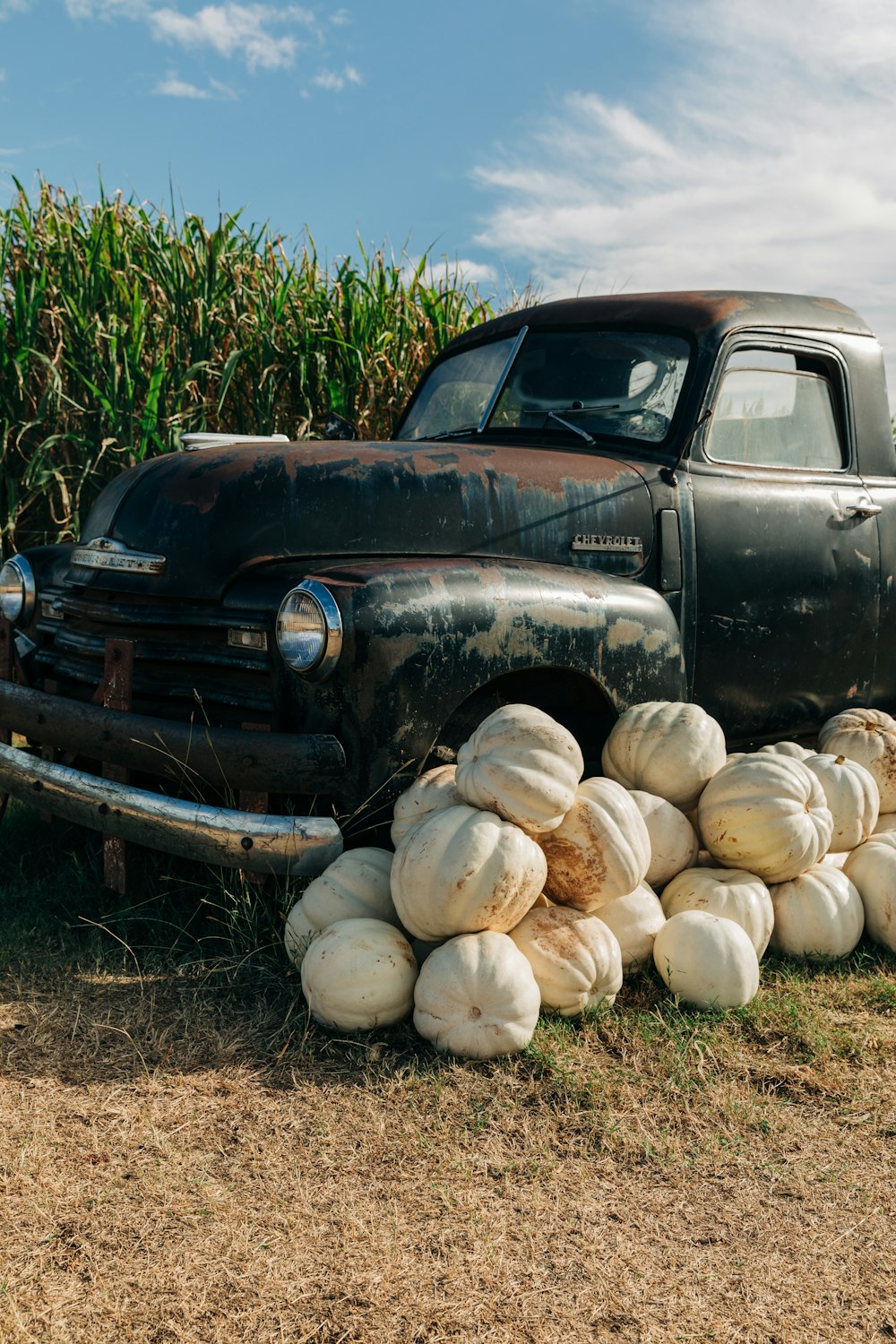 Un coche con un montón de troncos