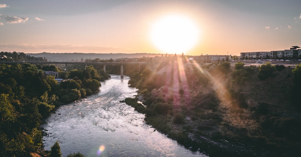 a river with a bridge and trees