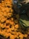 A pile of vibrant orange marigold flowers with some green leaves placed on top. The flowers are fresh and densely packed together, giving a lush and abundant appearance. On the top right, a transparent plastic bag containing green stems or foliage is visible.