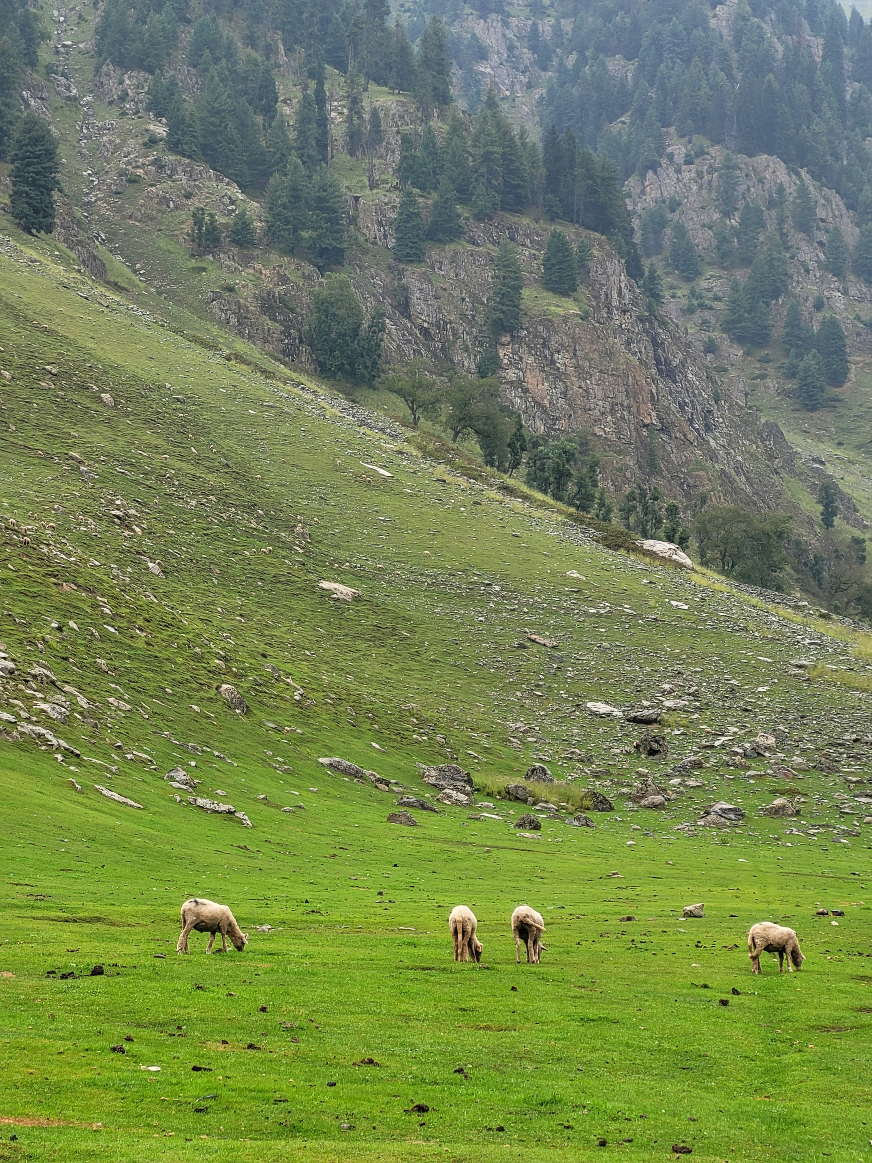 Photo by iamankurkhandelwal