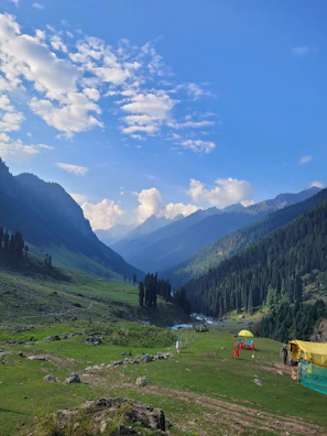 a grassy valley with mountains in the background