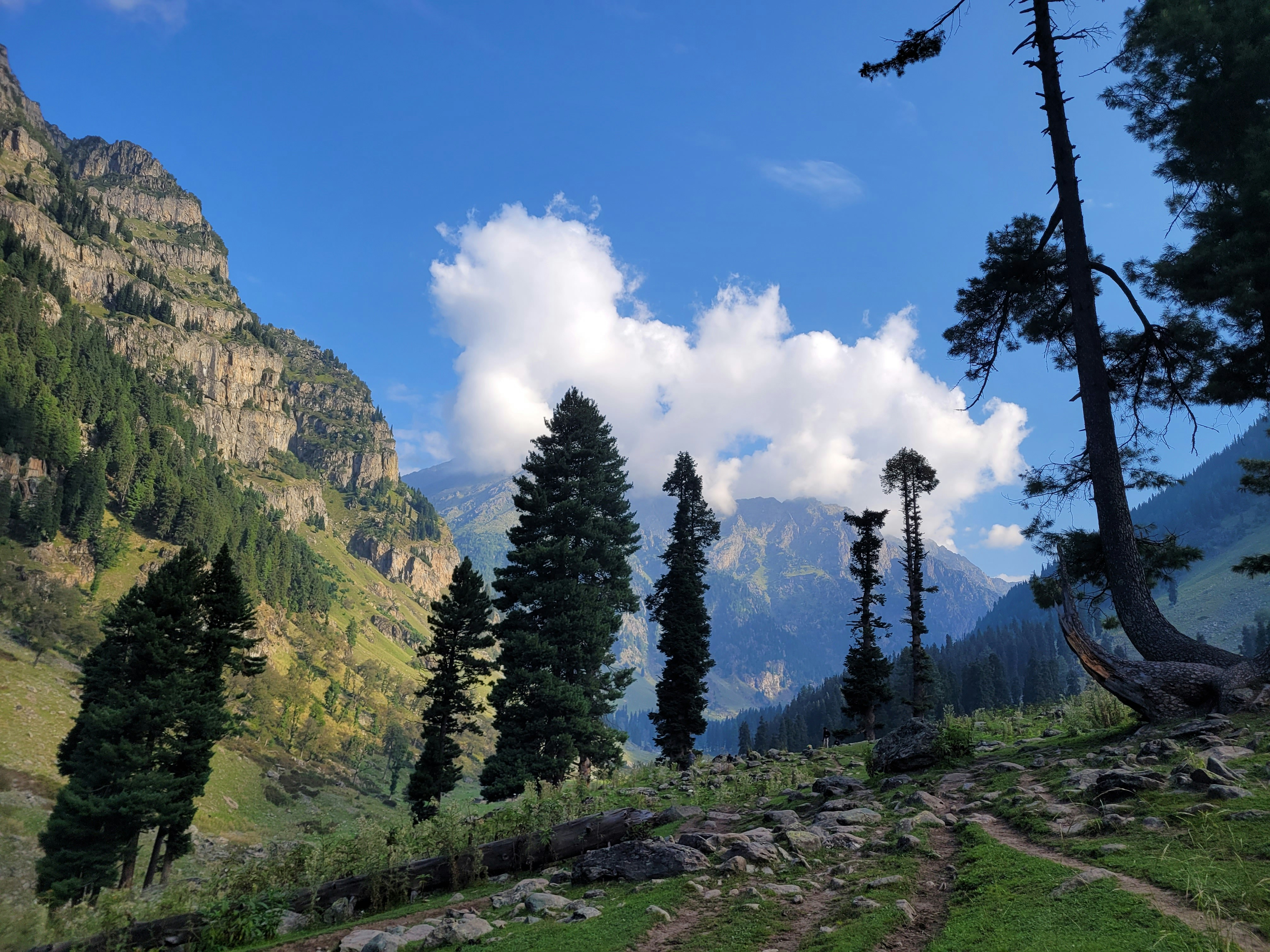 Photo by iamankurkhandelwal