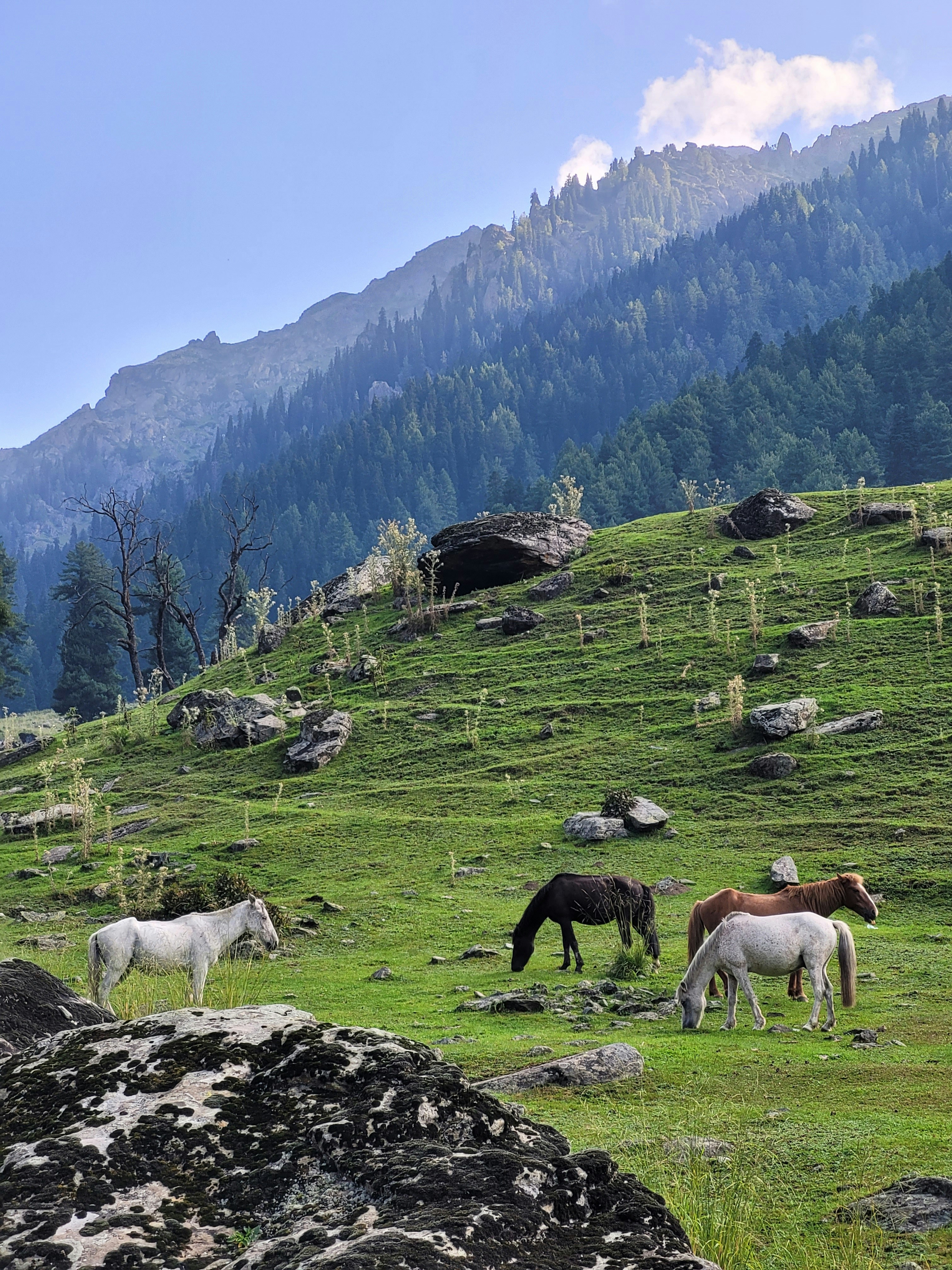 Photo by iamankurkhandelwal