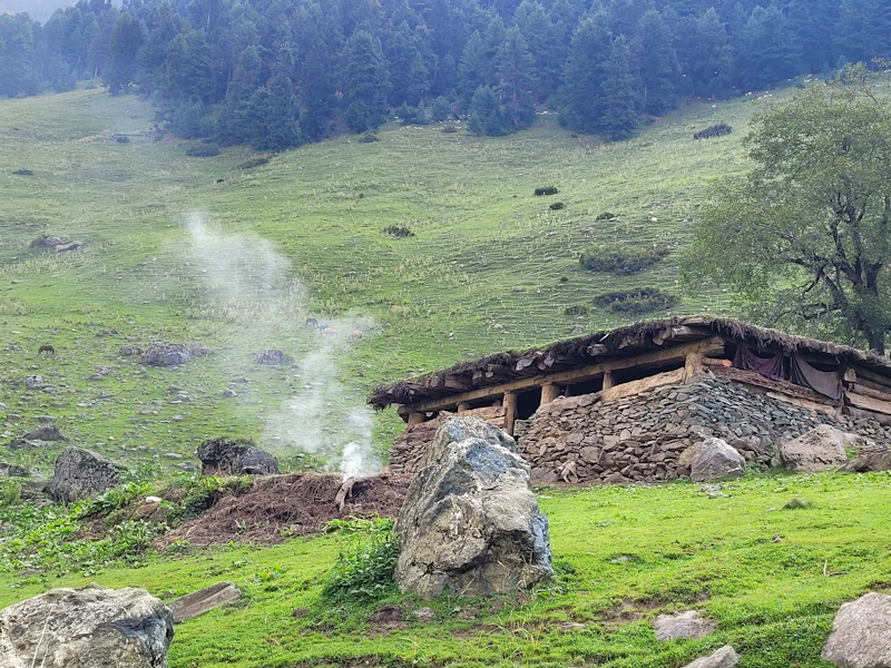 Best Eco-Friendly Resorts and Sustainable Stays in Srinagar
