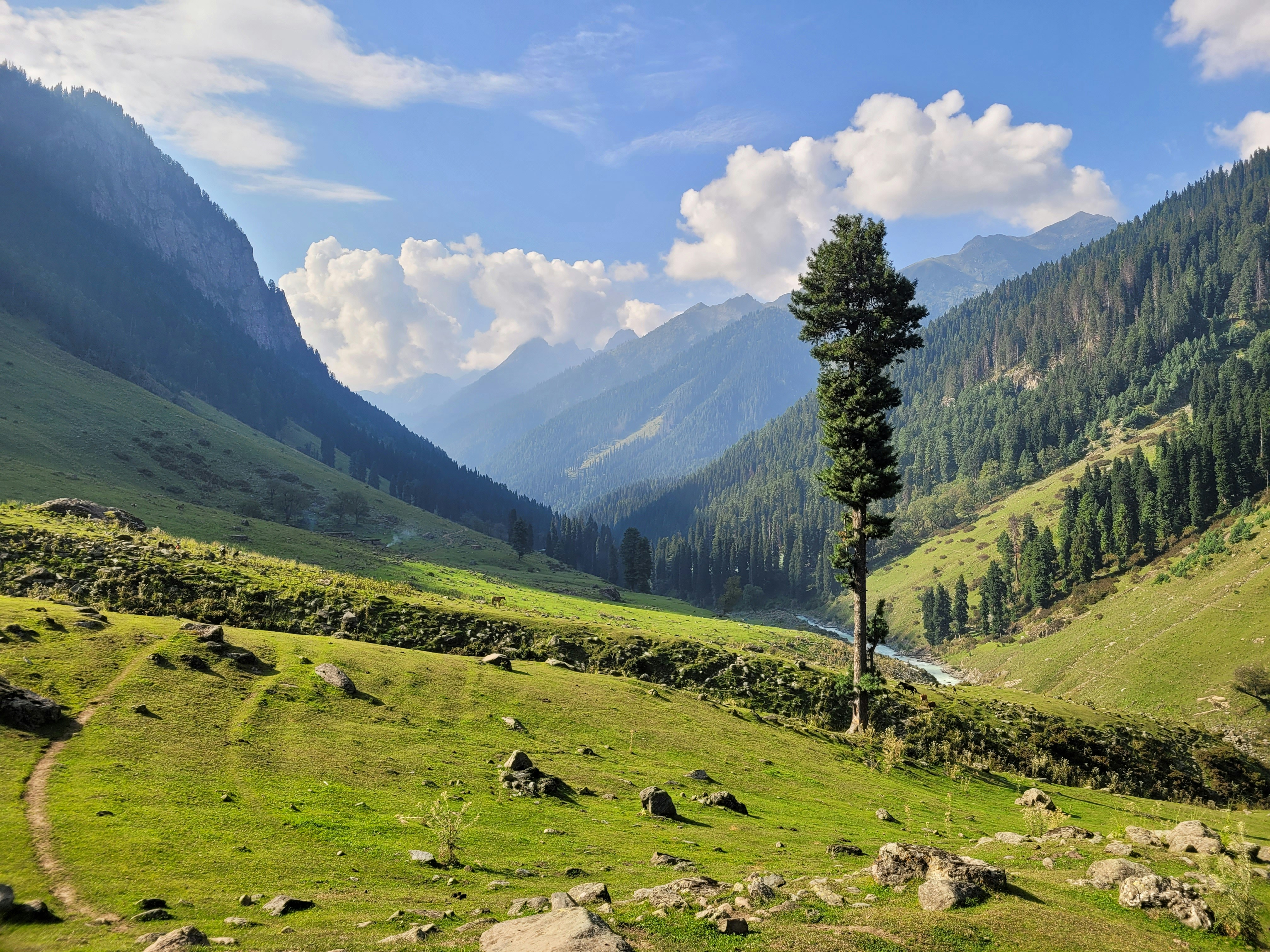 Photo by iamankurkhandelwal