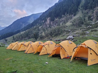 a group of tents in a grassy field with trees and mountains in the background