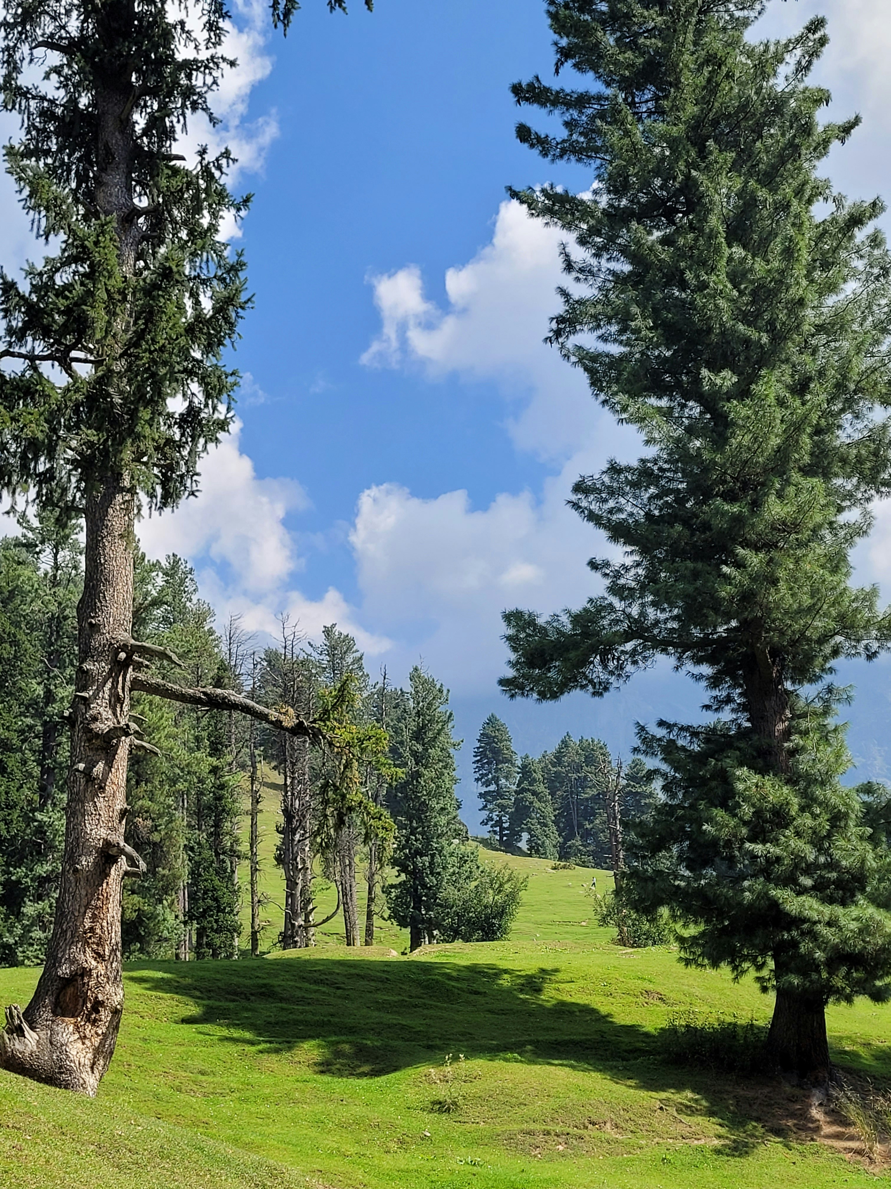 Photo by iamankurkhandelwal