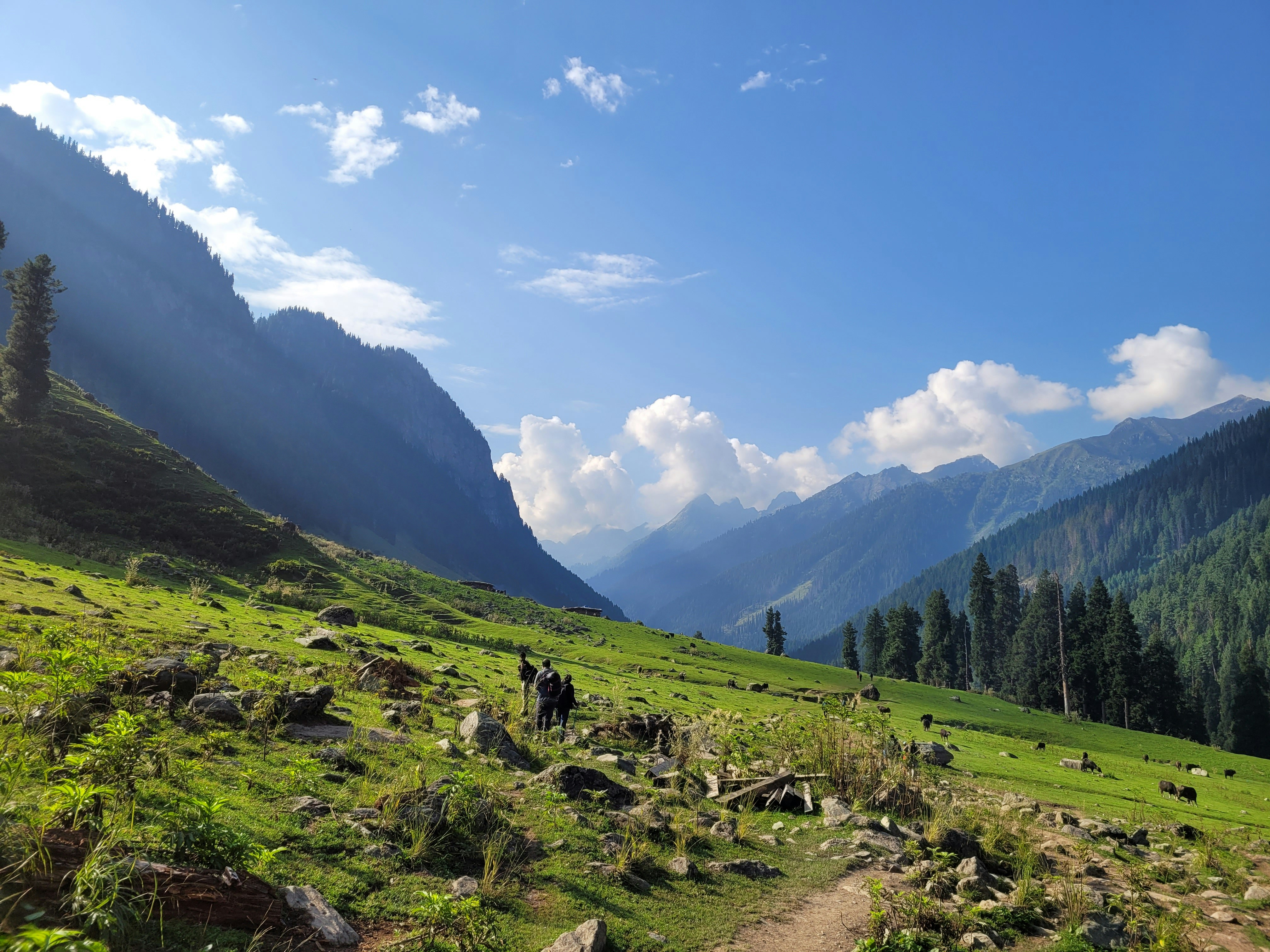 Photo by iamankurkhandelwal