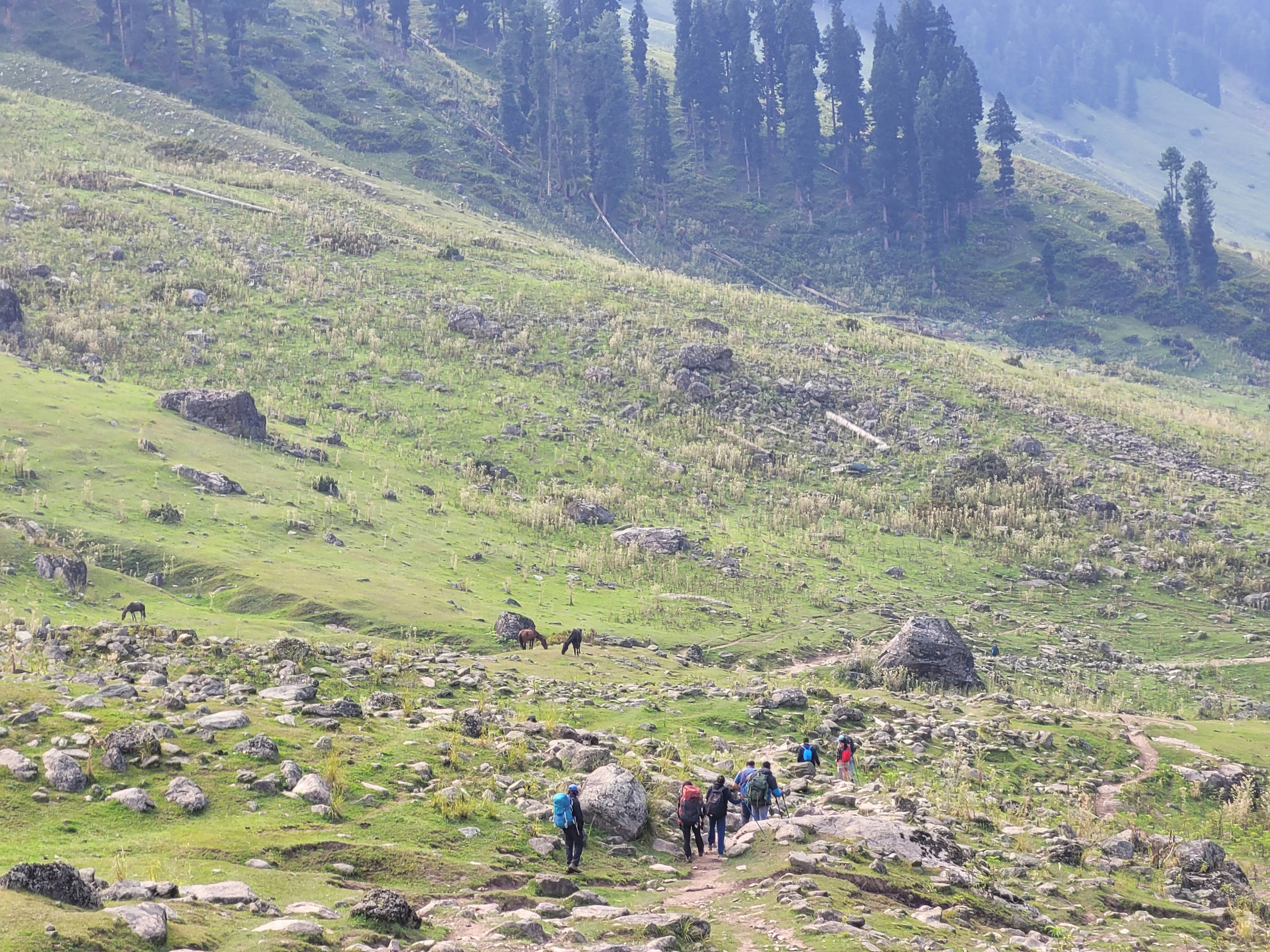 a group of people hiking on a mountain
