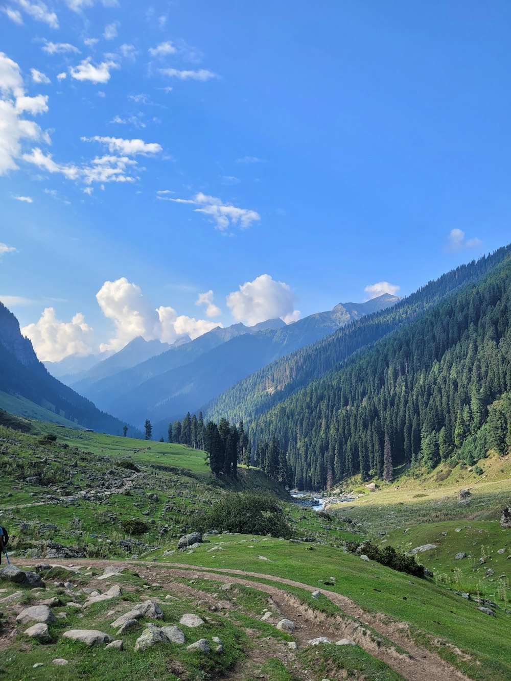 a grassy valley with trees and mountains in the background