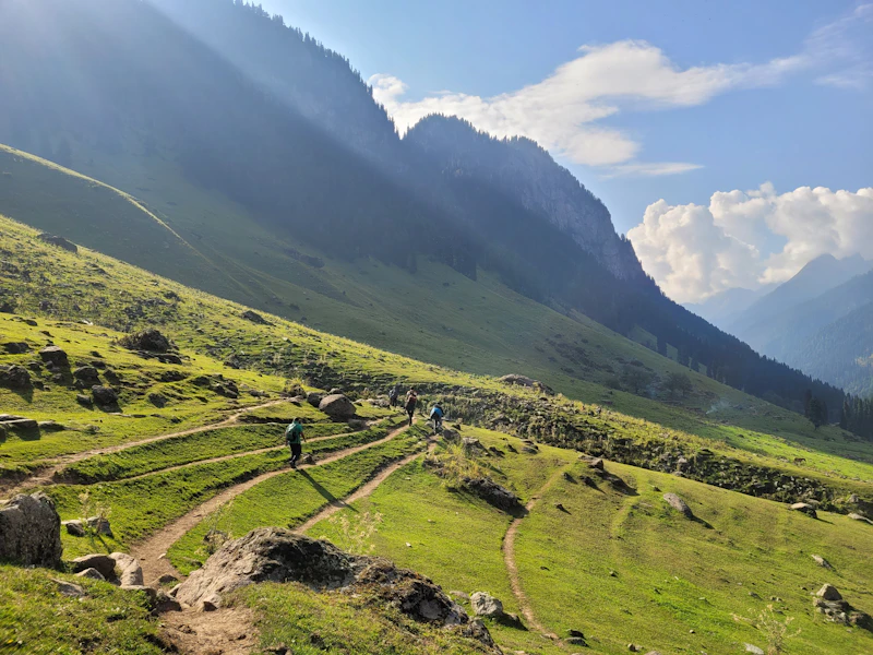 Best Walking Paths and Streets in Srinagar to Explore on Foot