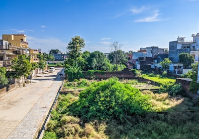 A residential area with several multistory buildings and a paved road lined with trees. There is a large patch of greenery in the middle, possibly a garden or an overgrown plot. The sky is clear with patches of clouds.