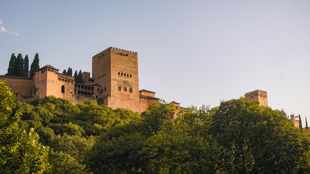 a large building behind trees