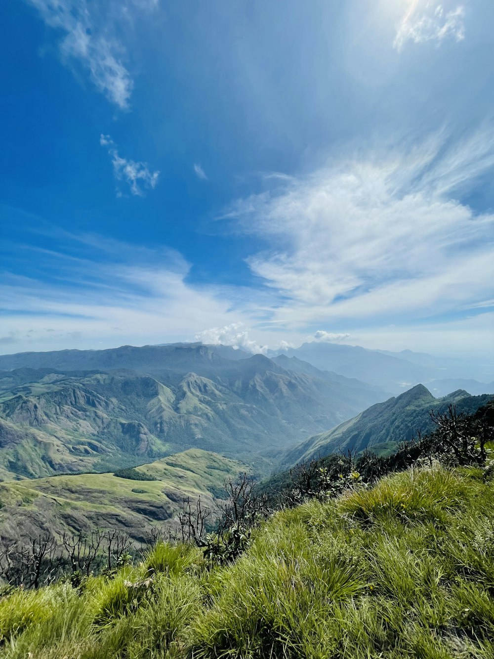 a grassy valley with mountains in the background