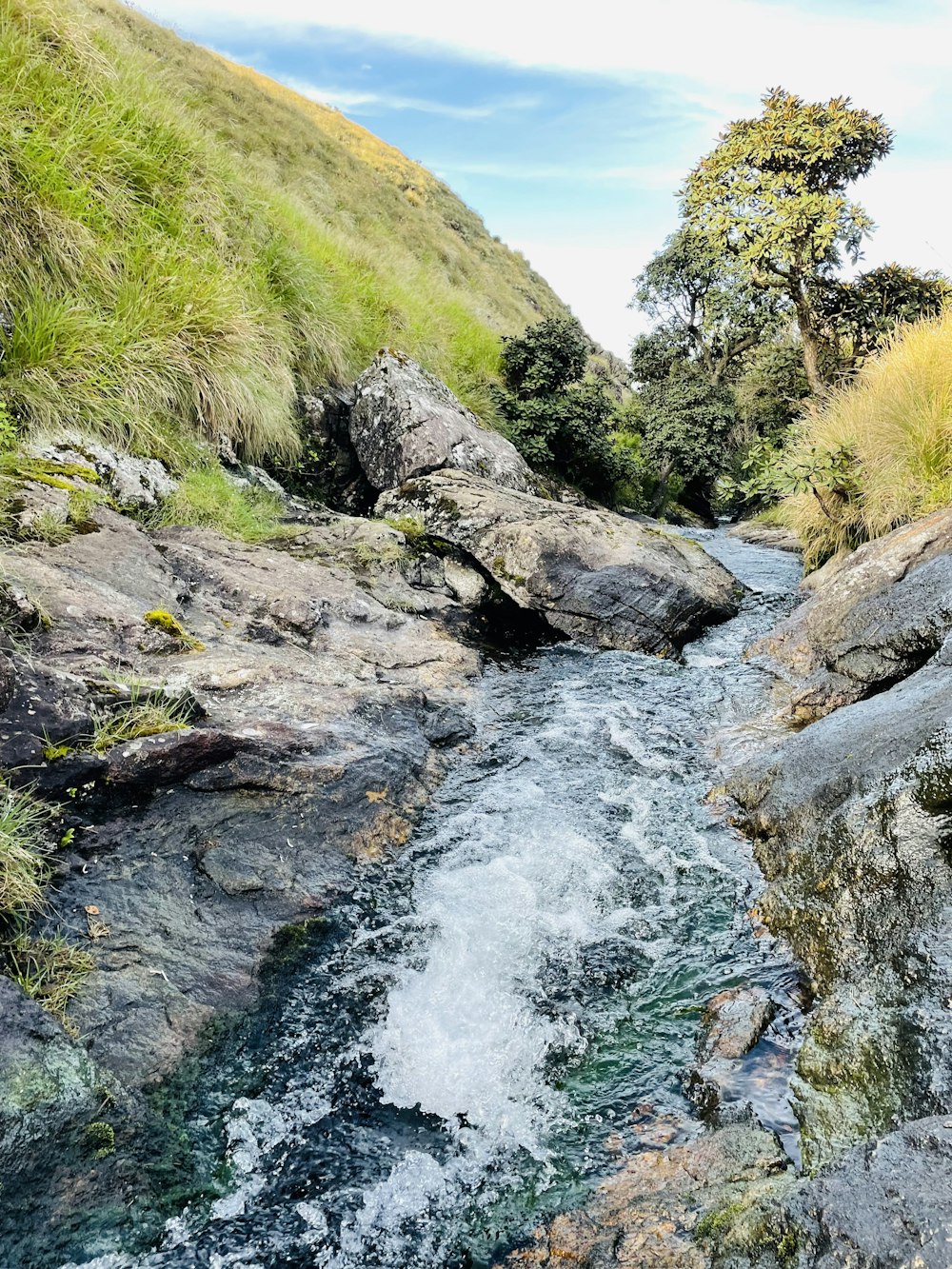 a river running through a rocky area