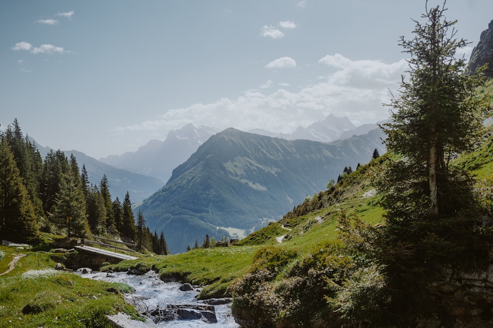 a river running through a valley