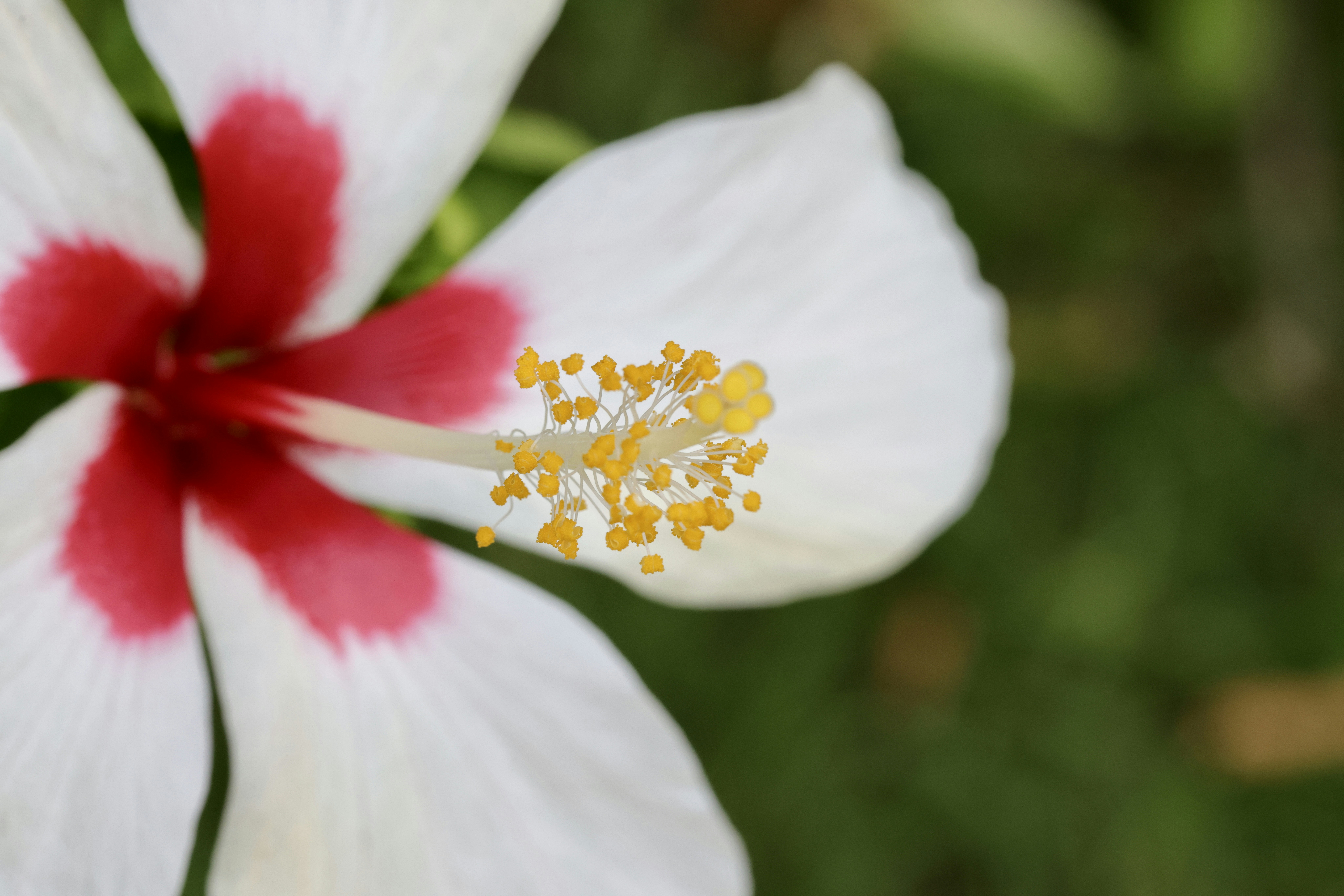 Photo by dickenslin76