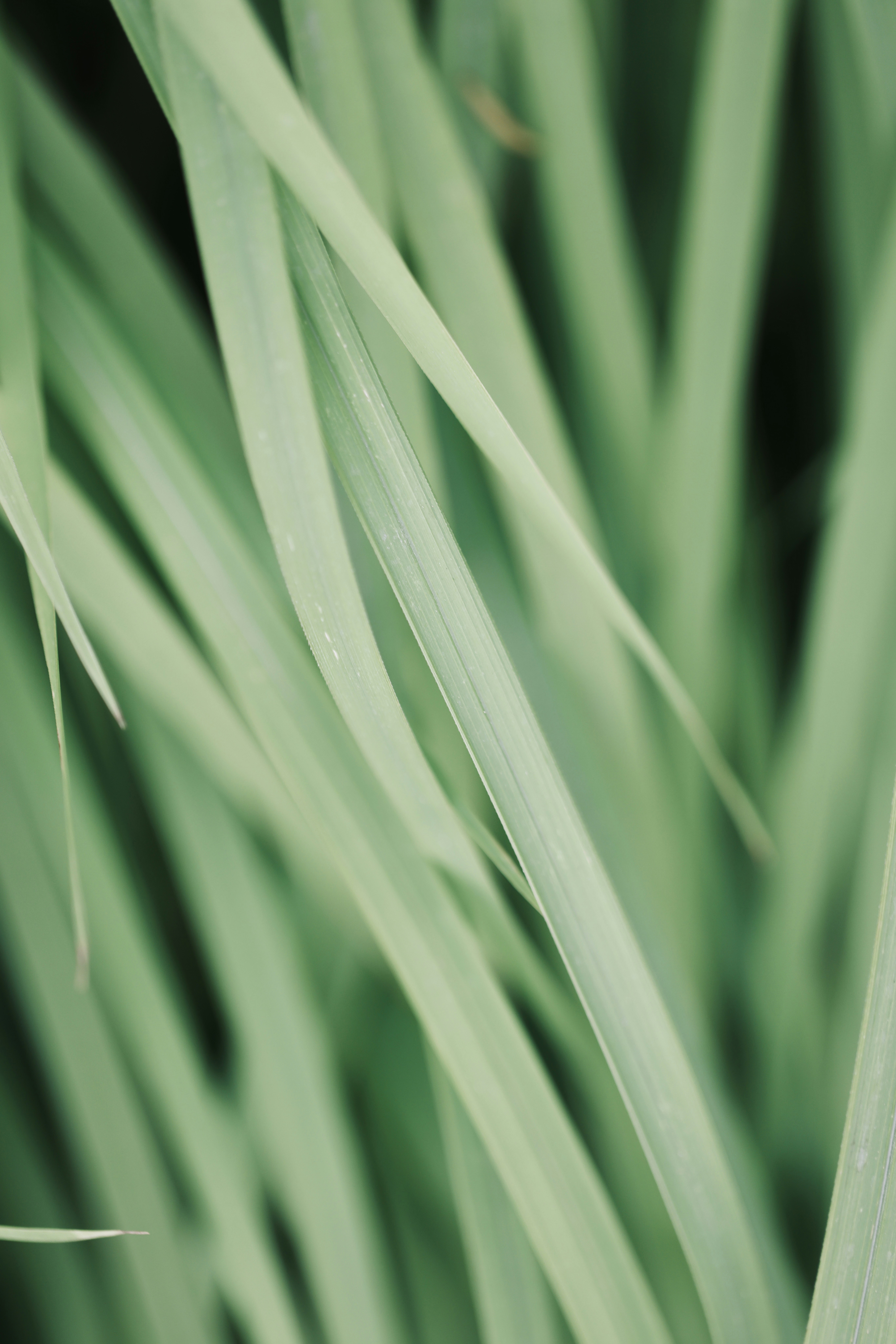 Photo by dickenslin76