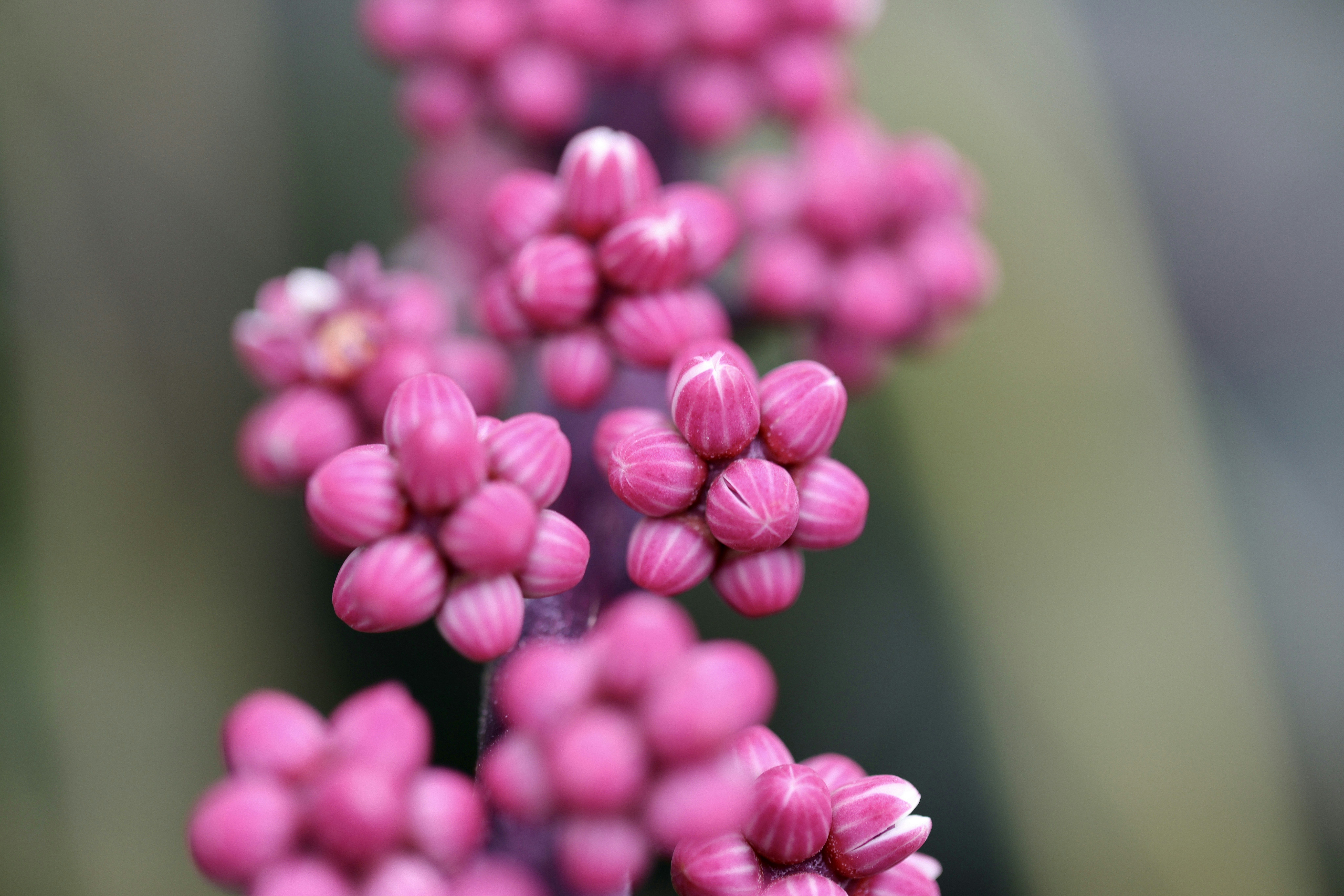 Photo by dickenslin76