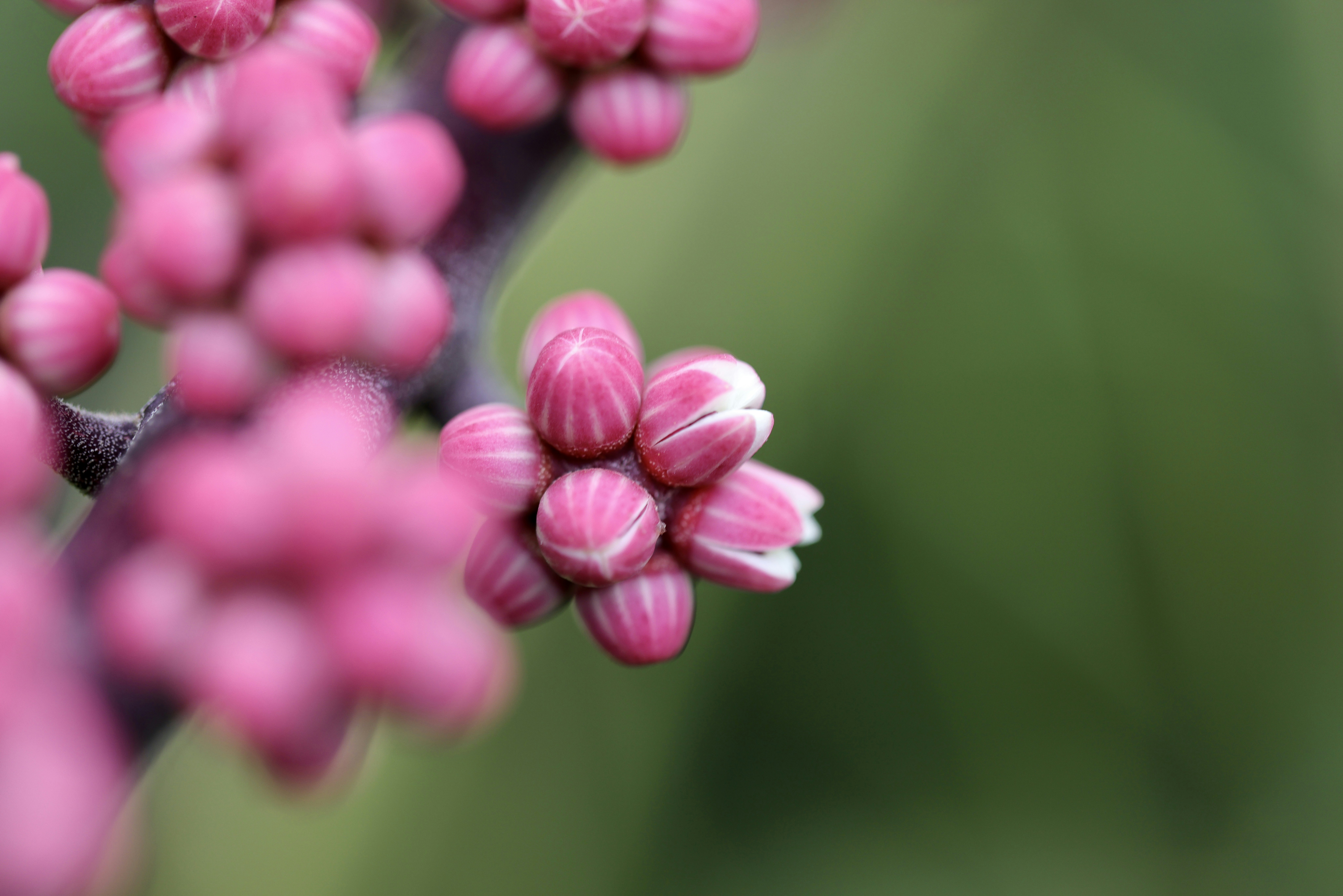 Photo by dickenslin76