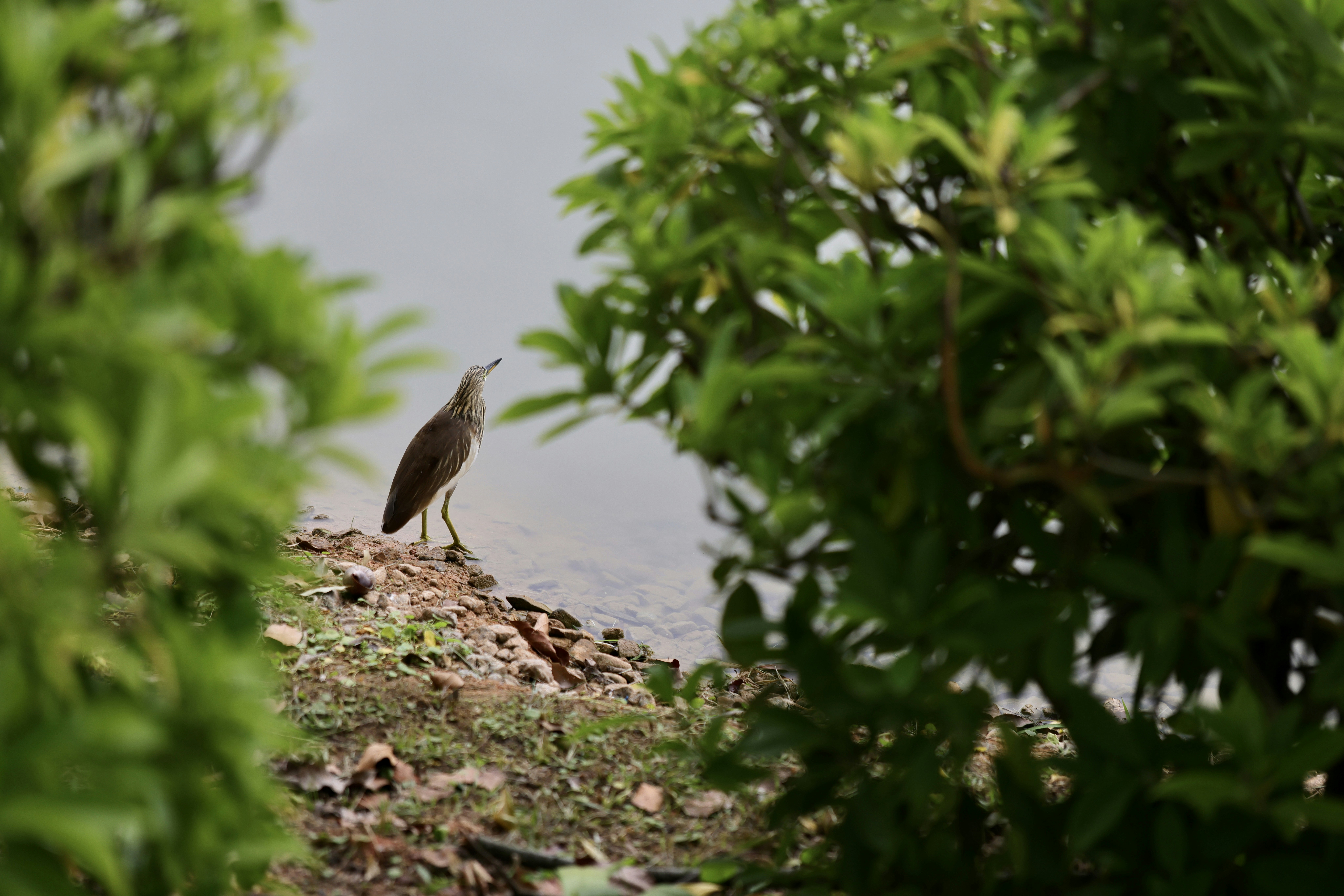 Photo by dickenslin76