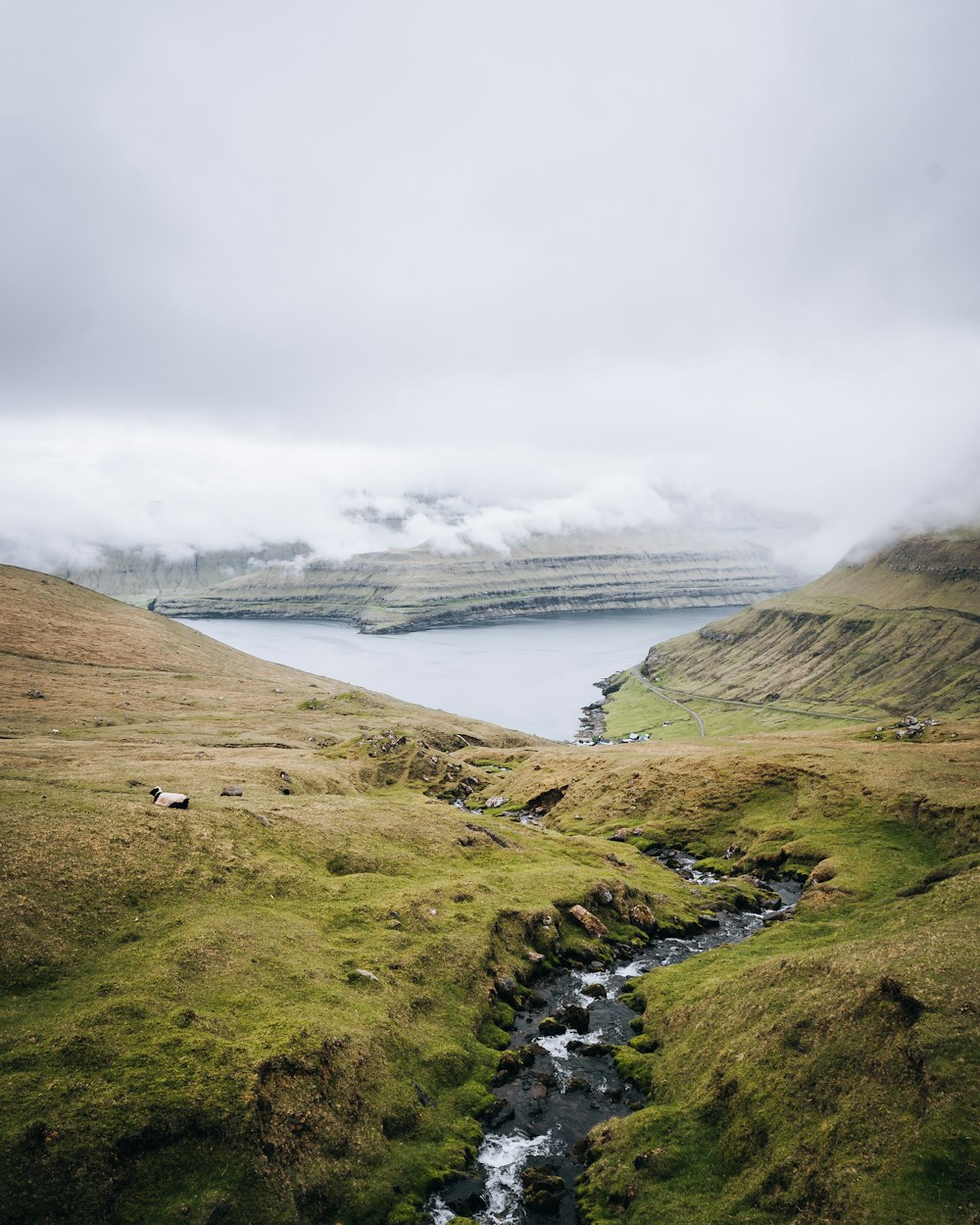 a river running through a grassy area