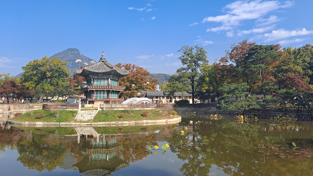 a pond with a building in the background