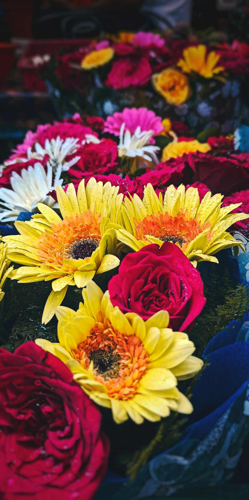 a group of colorful flowers