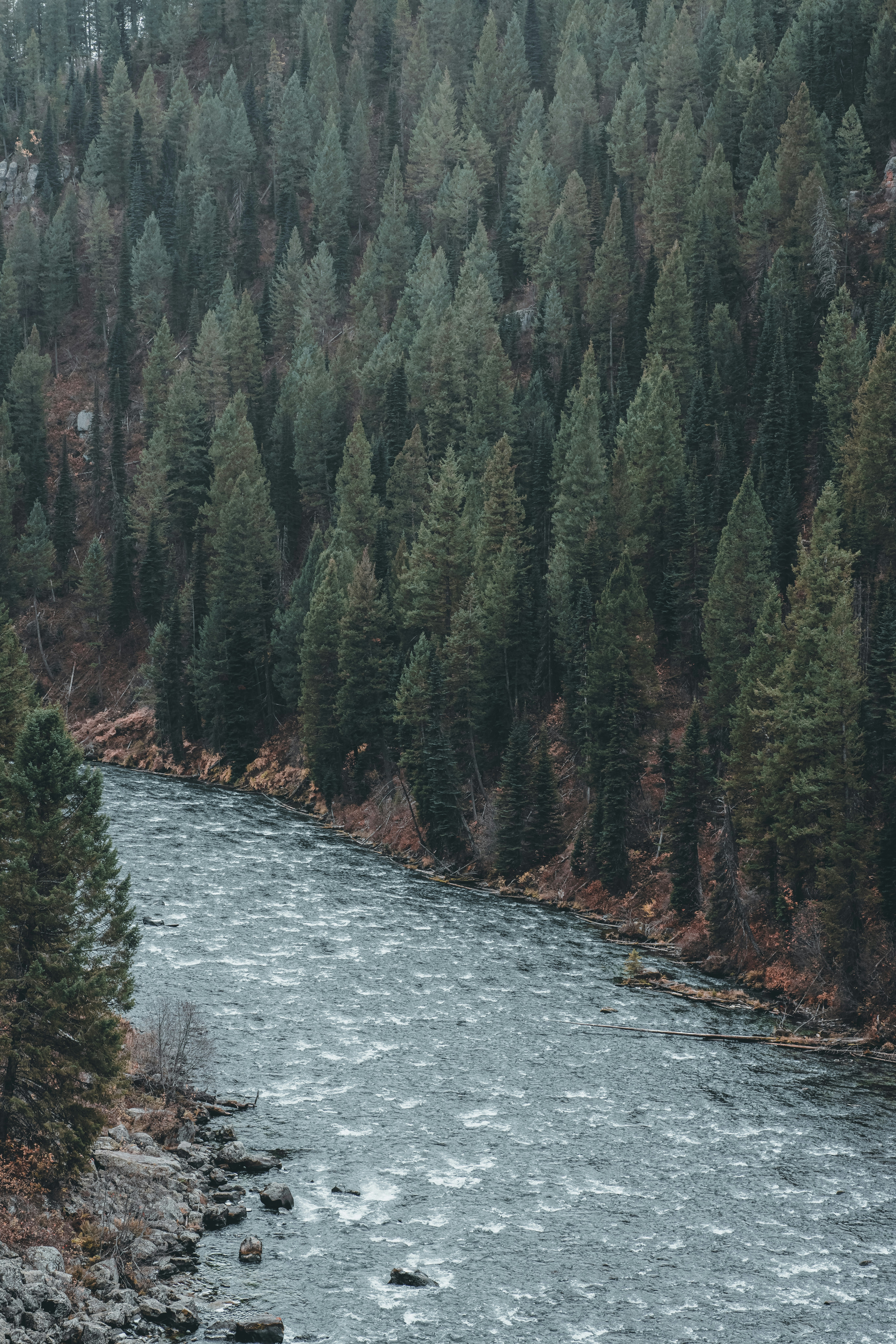 Photo by isaactmitchell