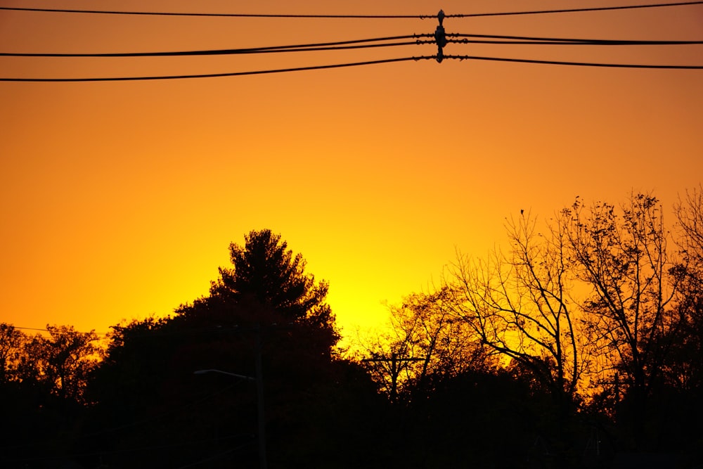 a silhouette of trees and a sunset