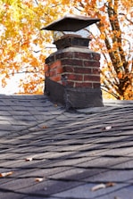 A brick chimney with a mesh metal cap sits on a shingled roof. The background features trees with vibrant autumn foliage in shades of orange and yellow.
