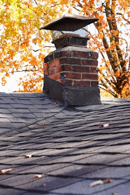 A brick chimney with a mesh metal cap sits on a shingled roof. The background features trees with vibrant autumn foliage in shades of orange and yellow.