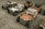Several vintage-style toy cars are neatly arranged on a paved surface. The cars are colorful with chrome accents, wooden frames, and intricate detailing, each featuring a steering wheel and cushioned seat.