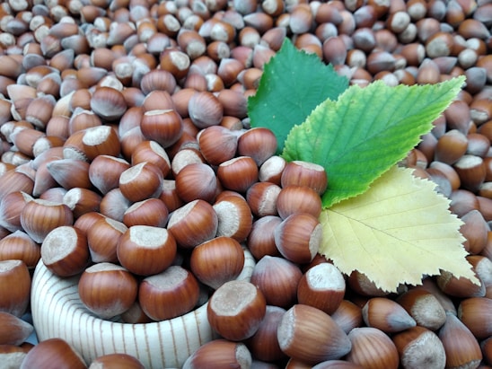 A close-up view of a pile of hazelnuts with two large leaves lying on top. The hazelnuts are brown with smooth shells and appear to be fresh. The leaves are vibrant, one green and one yellow, adding a pop of color.