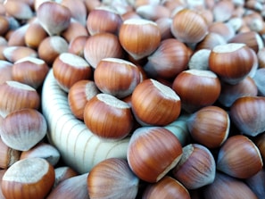 A close-up of a large pile of hazelnuts with their shells intact, showcasing their smooth, brown surfaces and the lighter colored top where they were attached to the tree.