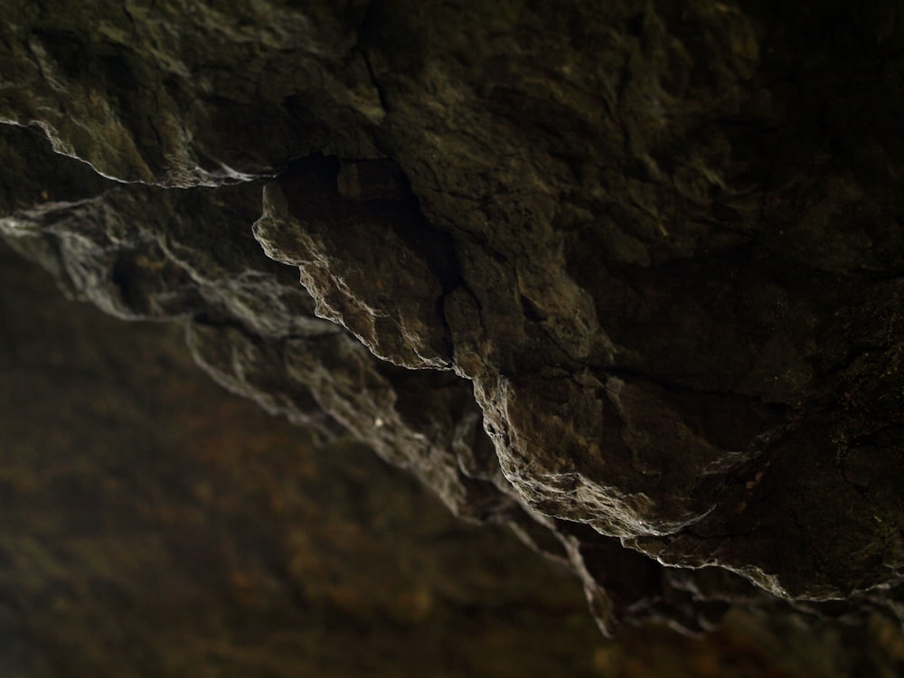 a close-up of a rock