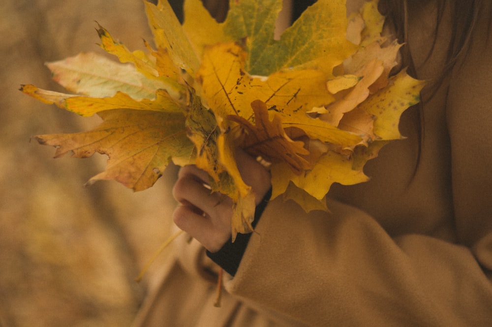 a person holding a yellow leaf