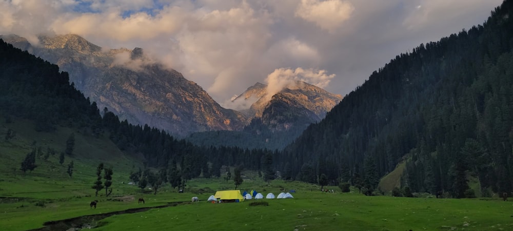 a grassy valley between mountains