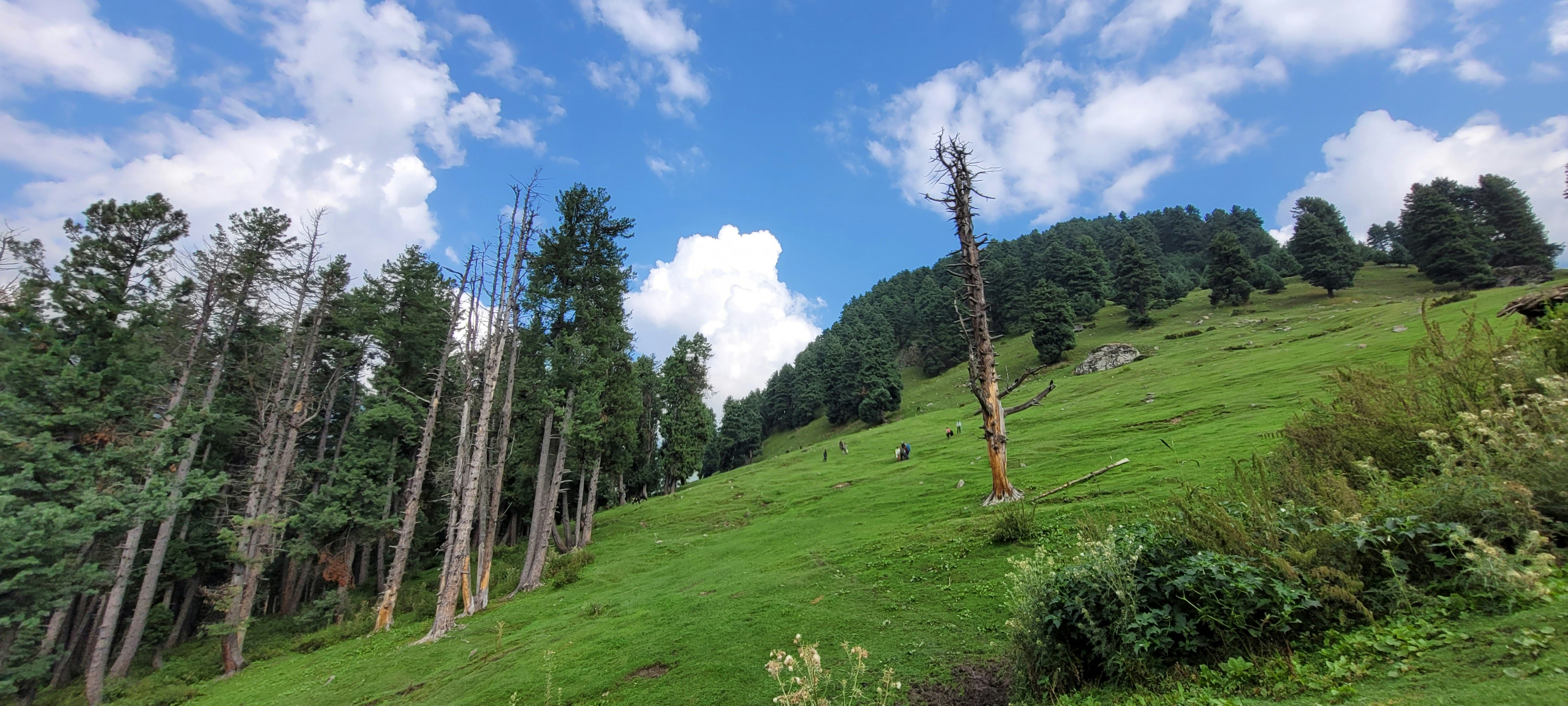 Photo by iamankurkhandelwal