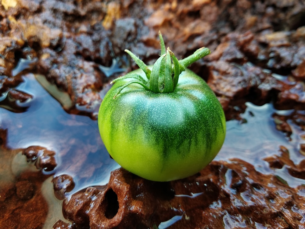 a green fruit on a brown surface