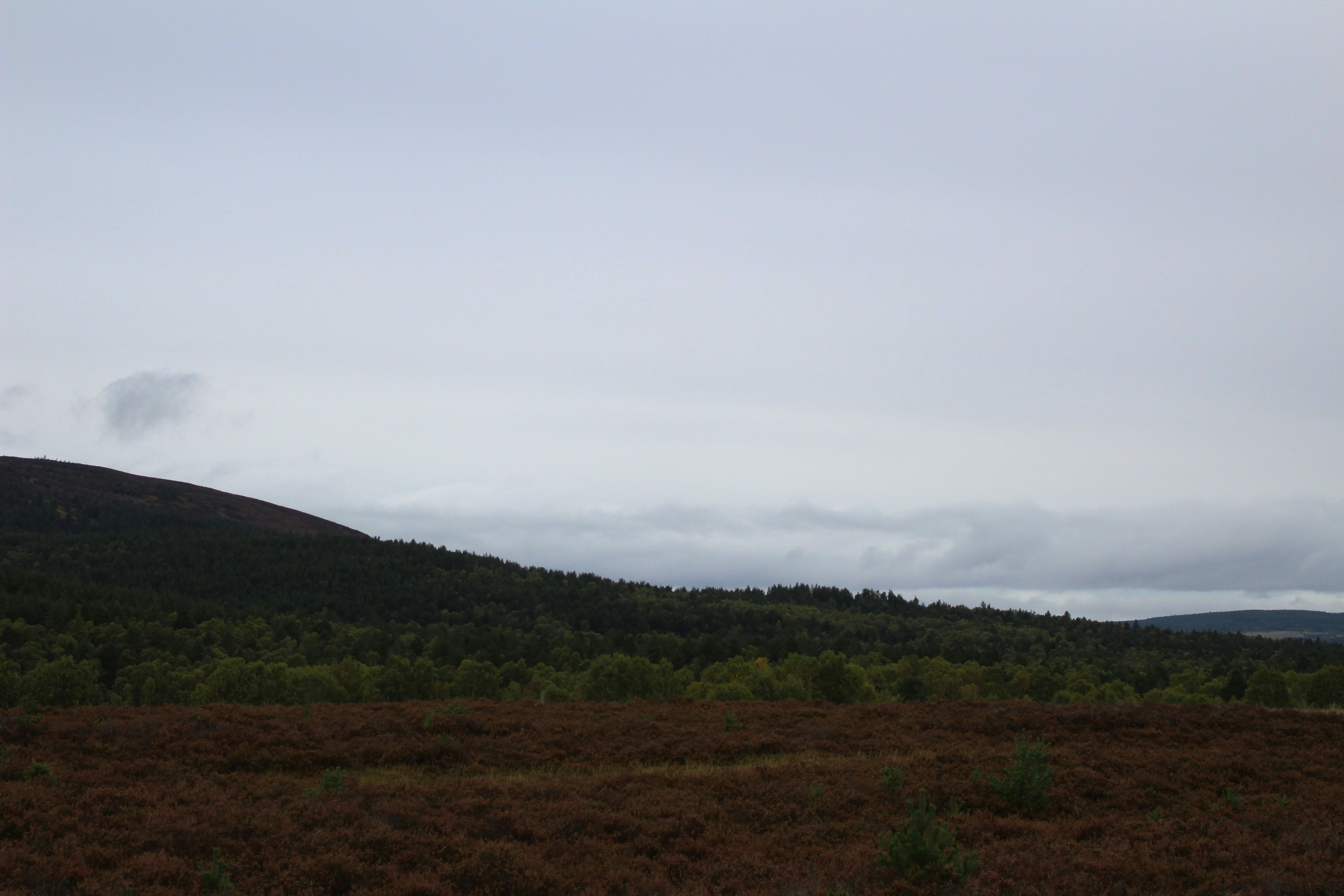 a landscape with hills and trees