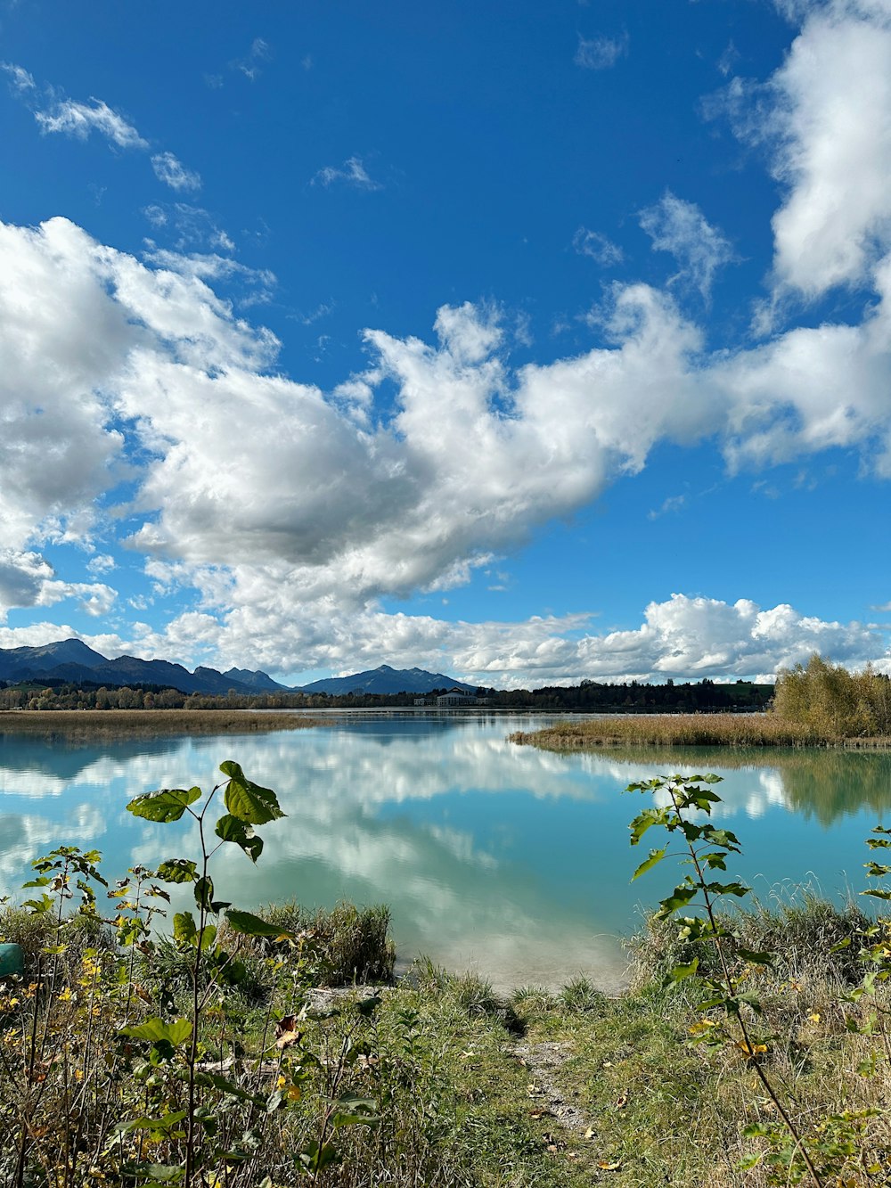 a body of water with plants and hills in the background