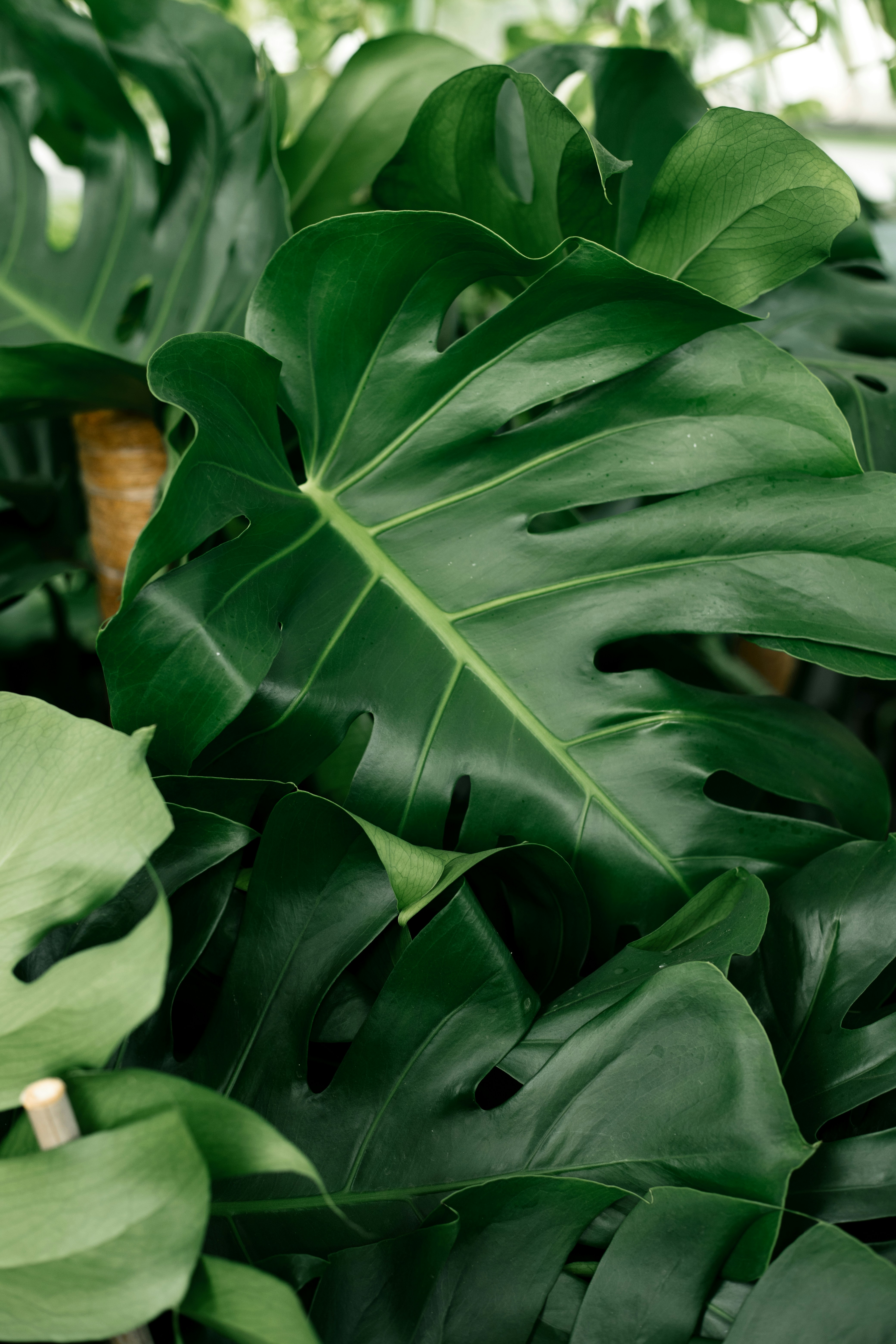 Photo by juliamatuzova